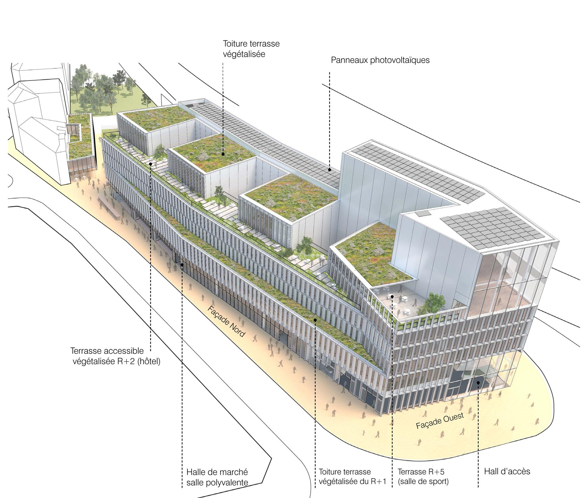 Halle Magenta Plan